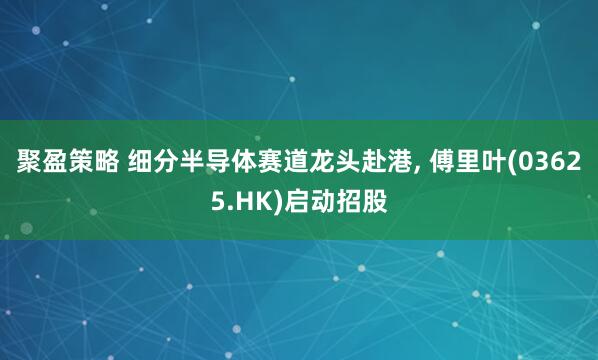 聚盈策略 细分半导体赛道龙头赴港, 傅里叶(03625.HK)启动招股